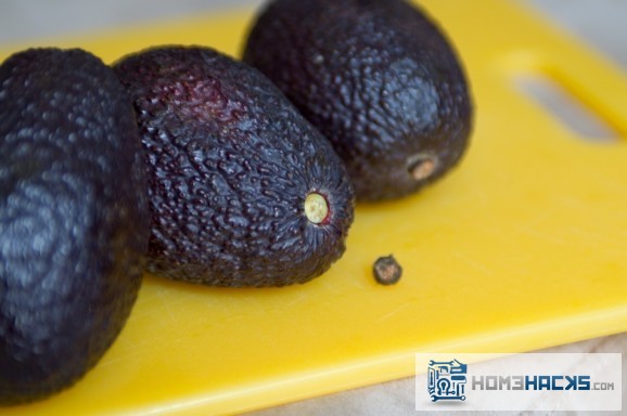 avocado-stem-ripe