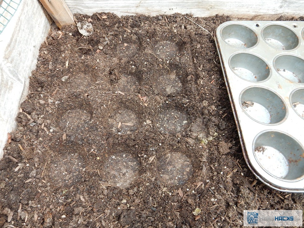 Plant Starting Tray or Seed Starting Tray with a Muffin Pan