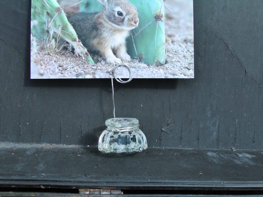 Door Knob Photo Holder