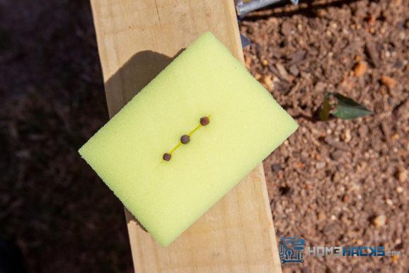 sponge seed starter