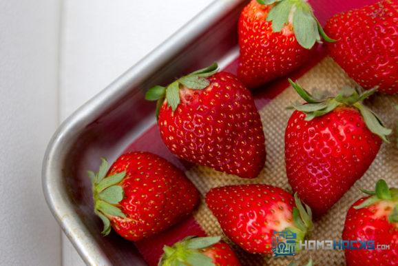 store berries single layer