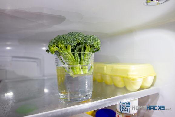 revive wilted broccoli in water