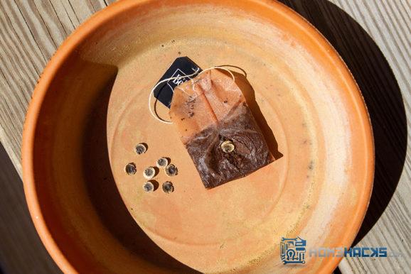 DIY seed starter tea bag